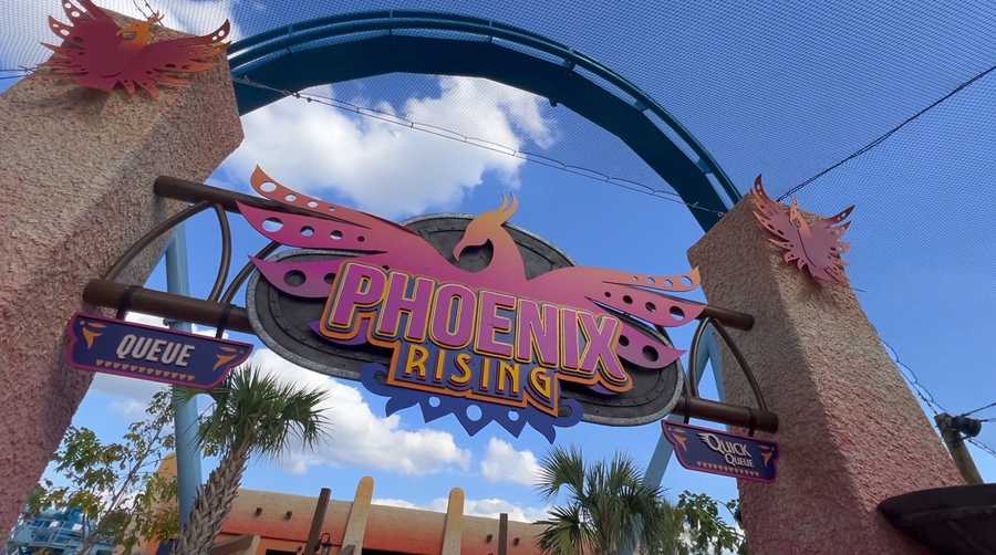 Phoenix Rising