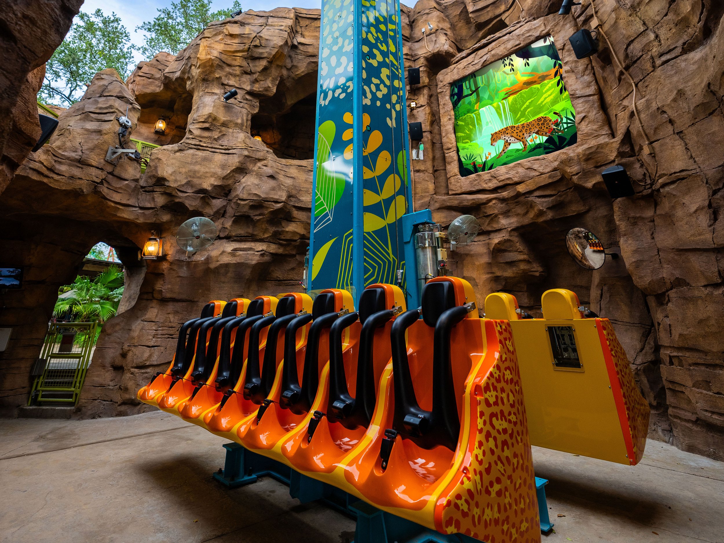 Treetop Drop tower at Wild Oasis, Busch Gardens Tampa Bay